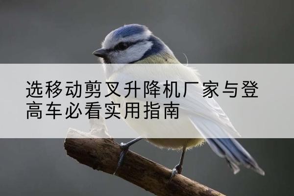 泉港电动升降机厂家-选移动剪叉升降机厂家与登高车必看实用指南