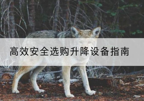 泉港升降货梯厂家推荐-*安全选购升降设备指南