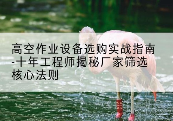 泉港剪叉式升降机厂家-高空作业设备选购实战指南-十年工程师揭秘厂家筛选核心法则